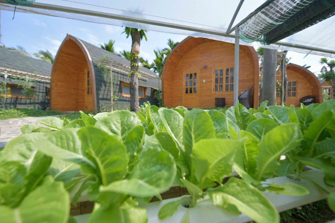 Апартаменты Coco-Farm Хойан Экстерьер фото